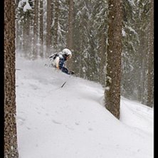Martin anv&auml;nder tr&auml;den som portar i det ymniga s. Foto: Christian &Aring;kesson. &Aring;kare: Martin Holm.