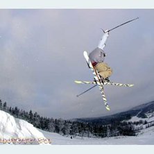 Danne g&ouml;r en feting Mute. Foto: Magnus Hansson. &Aring;kare: Daniel Karlsson.