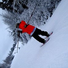 Foto: Nora Carlsson.