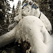 h&auml;r &auml;r en lite mindre orange variant av denna sk. Foto: joakim hayland. &Aring;kare: Alric Ljunghager.