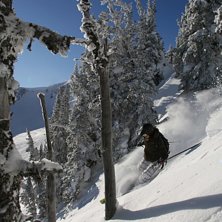 Foto: Therese Lundgren. &Aring;kare: Linda Nicklasson.