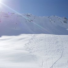 Foto: Bj&ouml;rn Clementson. &Aring;kare: Rikard Sv&auml;rdby.