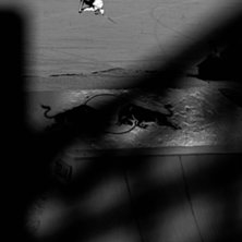 Simon Dumont i en cork 540 nosegrab under Jon Olss. Foto: Mattias Fredriksson. &Aring;kare: Simon Dumont.