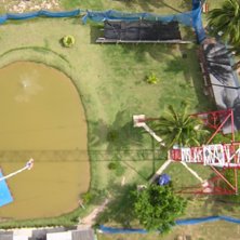 Bungy jump i Thailand... Foto: Thail&auml;ndare. &Aring;kare: Oscar Sj&ouml;lin.