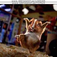 de kan vara kul med karate.... Foto: Jag Haha. &Aring;kare: Han.