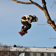 Foto: Johan Gustavsson.