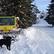 Gamlo m&aring;tte tr&aring; til i dag
M&aring;tte tr&aring; til med ga.