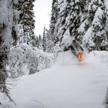 31 oktober i &aring;re. Foto: Ida Forsberg. &Aring;kare: erik.s.