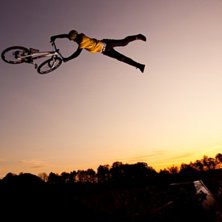 Galen superwhip.. Foto: Simon Berggren. &Aring;kare: John Alm H&ouml;gman.