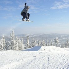Ja f&ouml;rs&ouml;ker v&auml;l h&auml;nga av en mute.. Foto: Per Persson. &Aring;kare: Andreas Wittberg.