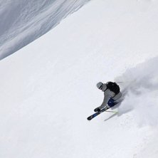 Or&ouml;rt. Foto: Jakob Elmefj&auml;ll. &Aring;kare: Max Ekholm.