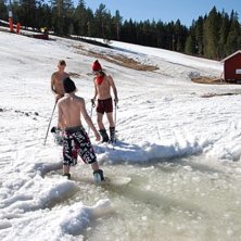 true. Foto: fluff. &Aring;kare: true.