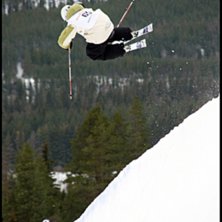 Foto: Andreas Timf&auml;lt / SwedenProPhoto.