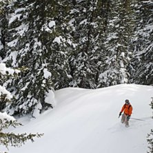 Foto: Alexander Palm. &Aring;kare: krille.