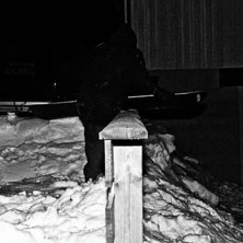 Foto: Gustav Hellman.