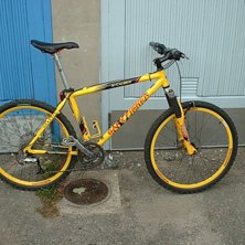 Foto: Niklas Ericsson.