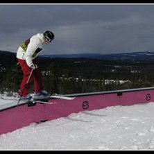 Slagskepp. Foto: faderskap. &Aring;kare: Mattias Nilsson.