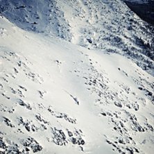 Foto: Per S&ouml;derberg. &Aring;kare: Pontus Tengvall.