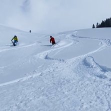 Genom en hage i brunni.