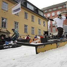 Winter Show i Kungstr&auml;dg&aring;rden 2014.. Foto: Hedda Berander.