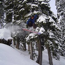 Ett hopp i skogen. Foto: Filip Gepertz. &Aring;kare: Jens Sundquist.