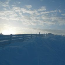 Foto: Adam Karlssom.