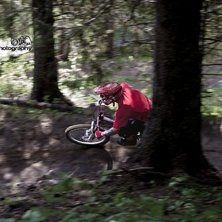 Forest. Foto: Robin Todor. &Aring;kare: Tobben Johansson.