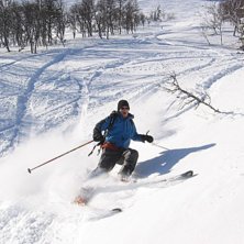 Mats ute p&aring; gr&ouml;nbete igen efter en stunds uppeh�. Foto: Tomas Halvarsson. &Aring;kare: Mats Synnersten.