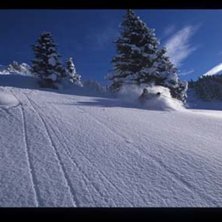 powder to me. Foto: oskarenander.com. &Aring;kare: patrik leidstedt.