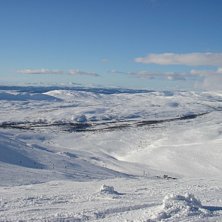 ibland &auml;r man glad &ouml;ver att man f&ouml;ddes h&auml;r. . Foto: Amanda &Ouml;stlund.