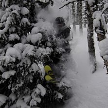 P&aring; jakt efter julgran!. Foto: Eric Tengstrand. &Aring;kare: Olle Strands&auml;ter.