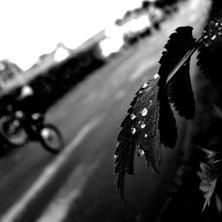 .......... Foto: Wheelieboy. &Aring;kare: alle.