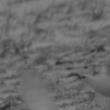 Foto: Fredrik Gustafsson. &Aring;kare: Ripa.