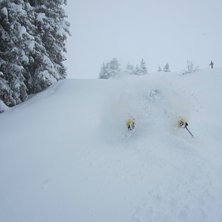 sn&ouml; sn&ouml; sn&ouml;. Foto: Paula Ljunggren. &Aring;kare: Jerry Bengtsson.