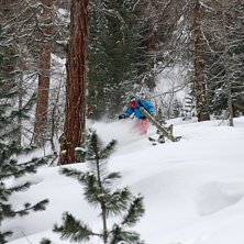 Avslutade dagen med ett &aring;k i skogen. Foto: Martin Wikstr&ouml;m. &Aring;kare: Adam Jonsson.