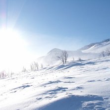 Foto: Simon Bj&ouml;rklund.