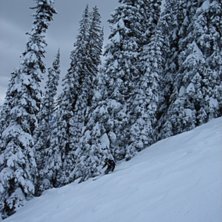 Foto: Freddie Wetman. &Aring;kare: Tommy Westman.