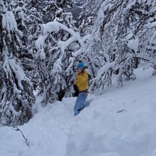 skog, massa sn&ouml;, o f&ouml;r lite fart, de blir tv&auml;rs. Foto: Lina. &Aring;kare: Tess.