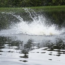 Foto: Felix b&auml;vermark.