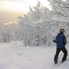 Urban f&auml;rgar sn&ouml;n gul i vita Kittelfj&auml;ll. Foto: Janne Storf&auml;lt. &Aring;kare: Urban Thylin.
