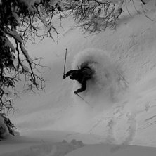 Tottskogen den 5 januari 2010
Vill ni ser mer fet. Foto: Marcus Olsson. &Aring;kare: Douglas Brostr&ouml;m.