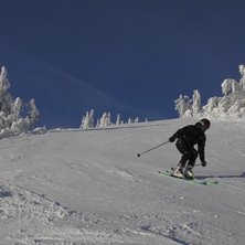 P&aring;skev&aelig;r i Stavadalen
Flotte forhold, og nydelig.