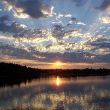 Tagen p&aring; landet i V&auml;dd&ouml; [Norrt&auml;lje].. h&auml;rlig . Foto: Alan.