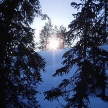 fin skid dag.. Foto: Orre. &Aring;kare: ingen.