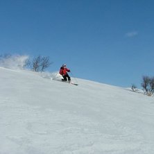 Fin mjuk &aring;kning p&aring; kalfj&auml;llet. Foto: Henrik Karlsson. &Aring;kare: Tobbe.