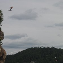 ganska s&aring; nice. Foto: Stefan Rosin. &Aring;kare: Fredde Berglund.