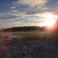 Foto: Sanna Sj&ouml;blom.