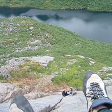 Leden bara bl&aring;b&auml;r i Lofoten. Foto: Christer Bjuhr. &Aring;kare: Pudde hansson.