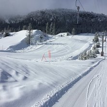 Cm 10 cm nysn&oslash; &amp;lt;3
Hvite tr&aelig;r, nysn&oslash; og k.