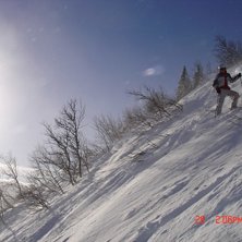 Foto: Viktor Swempa svenneson. &Aring;kare: torkan.